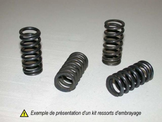 501-63-06014 Tecnium Barnett Kupplungsfedern-Kit verstrkt Quad / ATV fr KTM SX 450 505 09-12