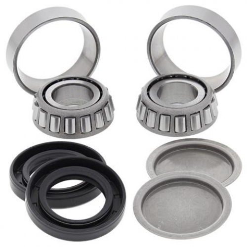 28-1155 AllBalls Schwingen Reparatur Kit Swing Arm Bearing Kit für Quad ATV CanAm Traxter Quest