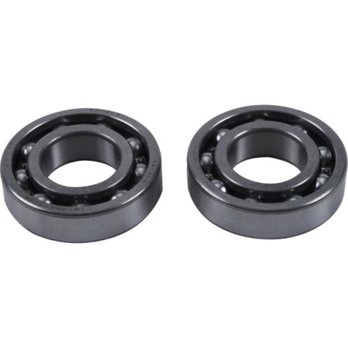 BBK0028 Gegengewichtssatz Counter Balancer Kit f�r Polaris