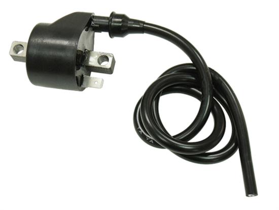 71-195062 Zndspule fr Polaris Predator 500